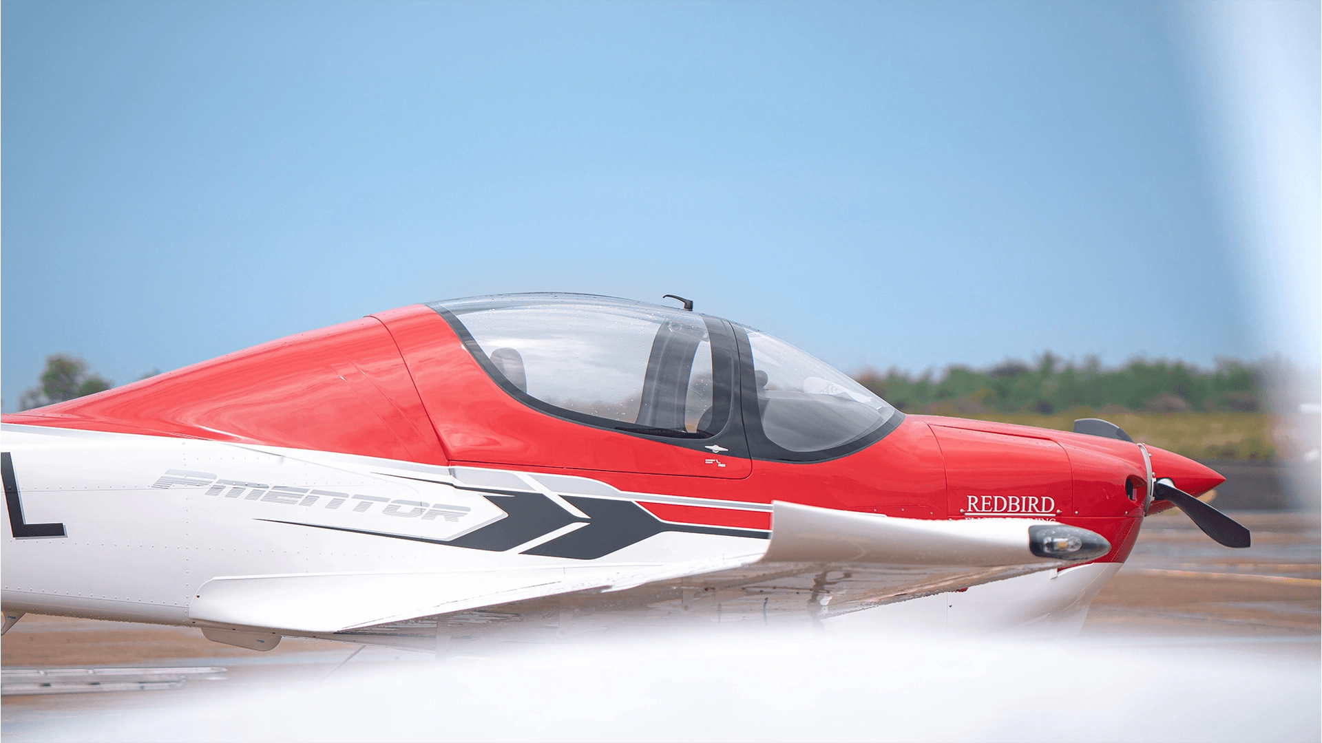 Redbird Aviation
